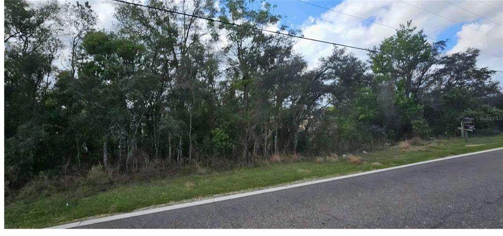  Mystery House Road - Photo 1