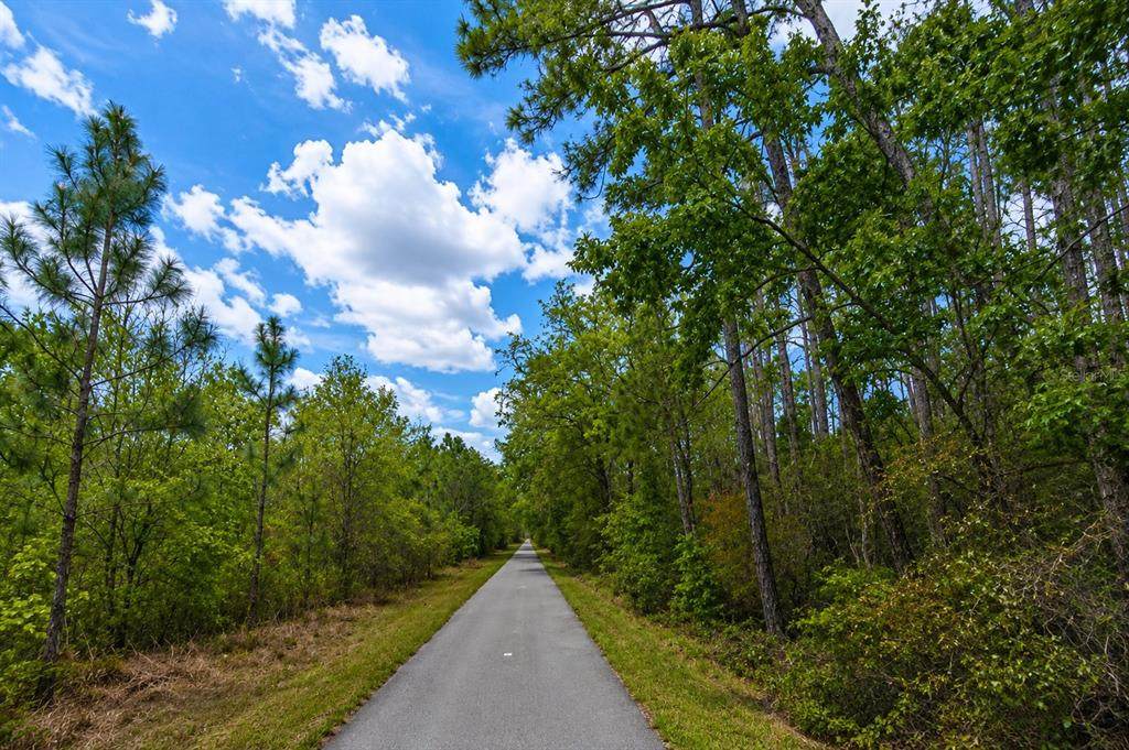 00 Van Fleet Trail - Photo 1