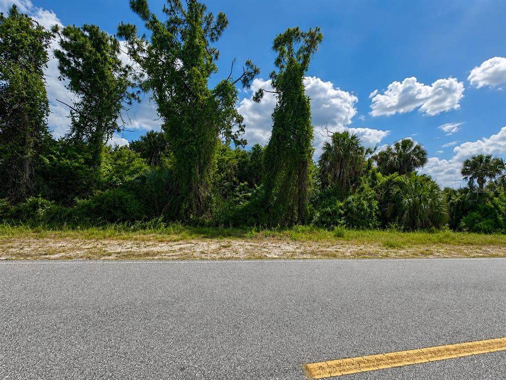 20399 Hillsborough Boulevard - Photo 1