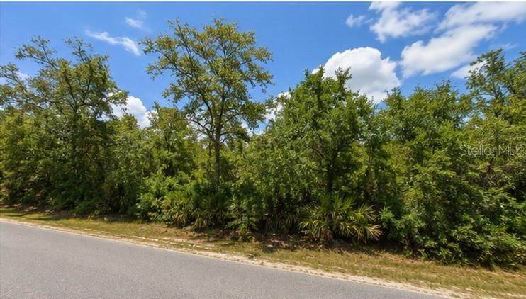 00 Country Road - Photo 1