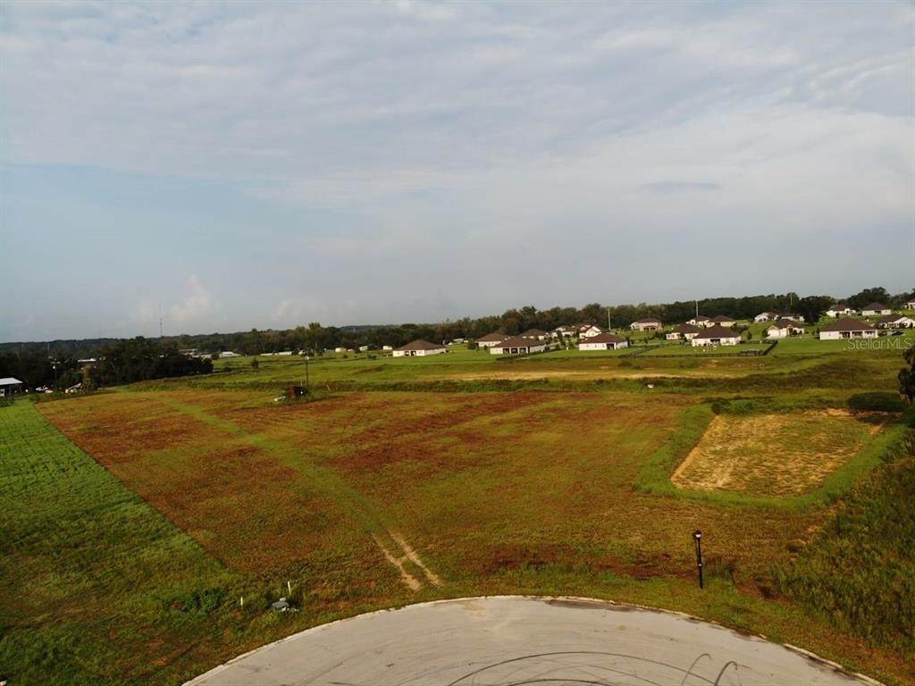10016 White Egret Drive - Photo 1