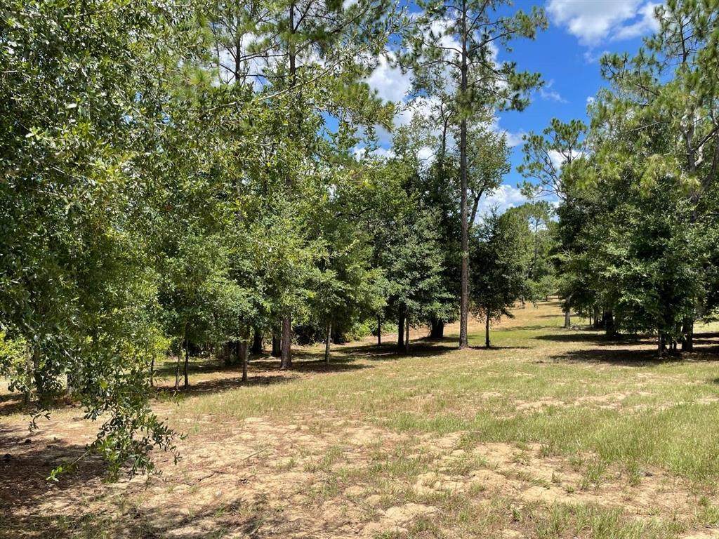  Calhoun Road - Photo 1