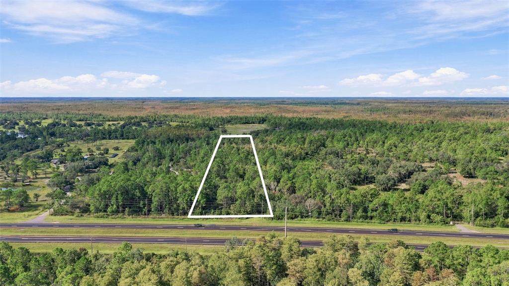 000 Irlo Bronson Memorial Highway - Photo 1