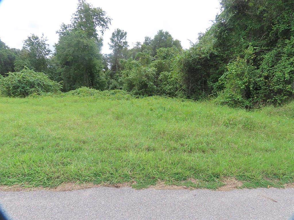 17701 Seidner Road - Photo 1