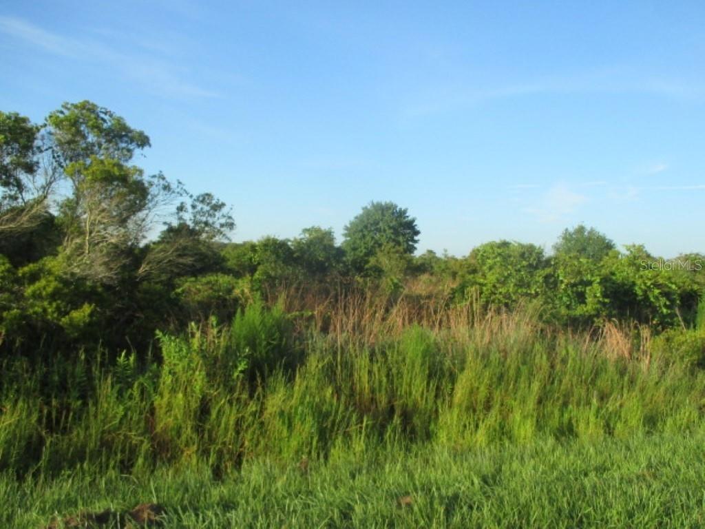 18626 284TH Street - Photo 1