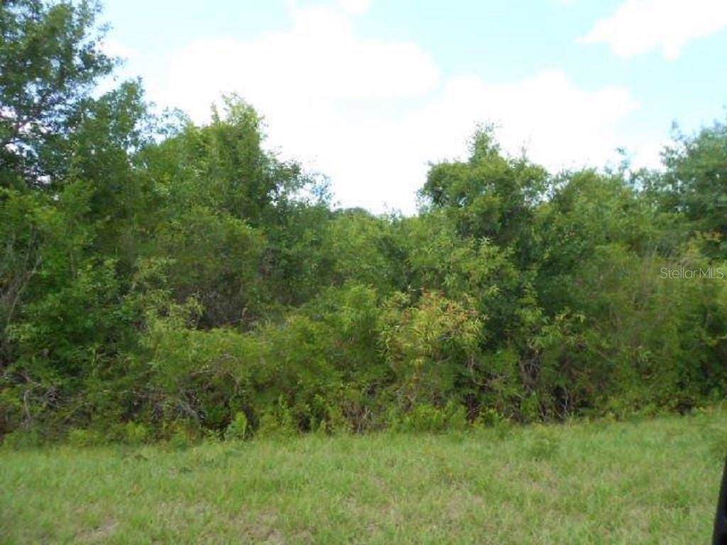 16805 274TH Street - Photo 1