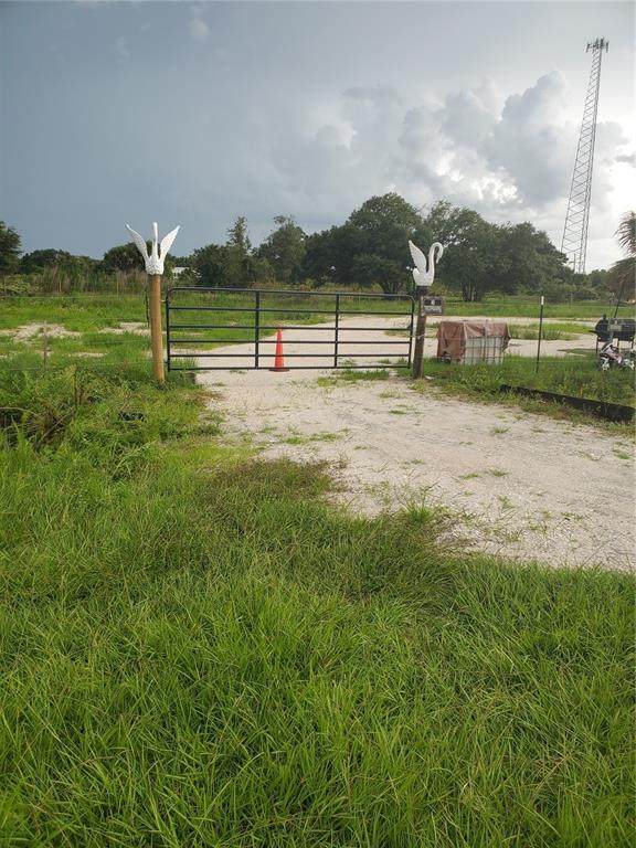 313TH Street - Photo 1