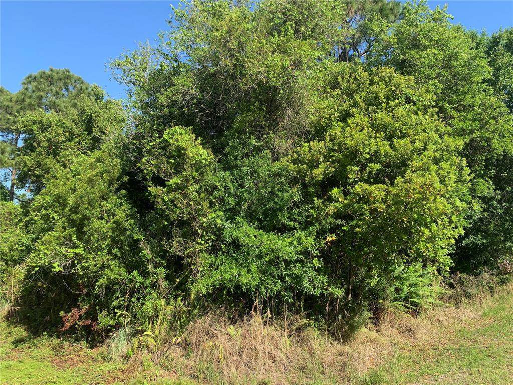 11419 3RD Circle - Photo 1