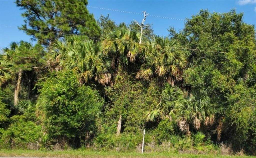 3804 Hwy 98 - Photo 1
