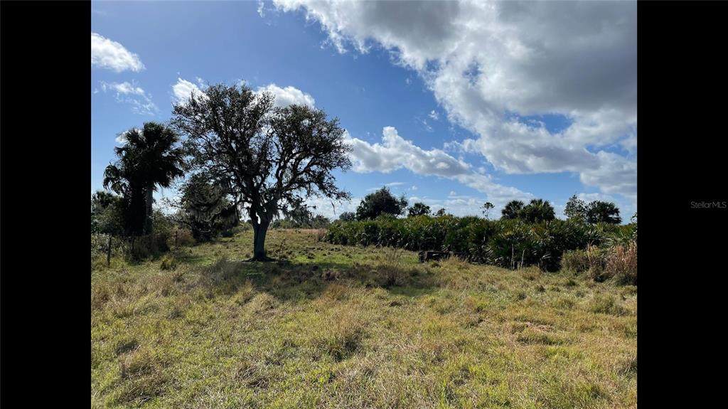 TBD Hwy 441 - Photo 1