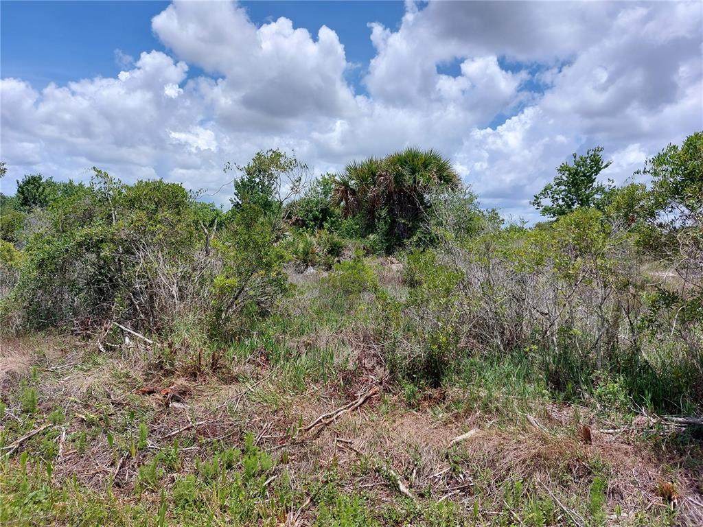 17927 286TH Street - Photo 1