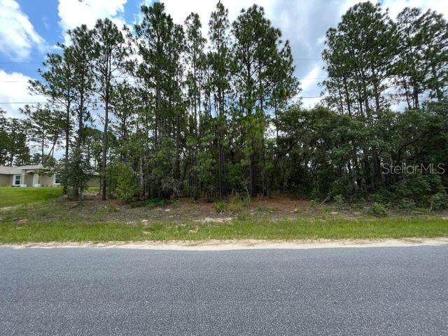 3847 Cross Drive - Photo 1