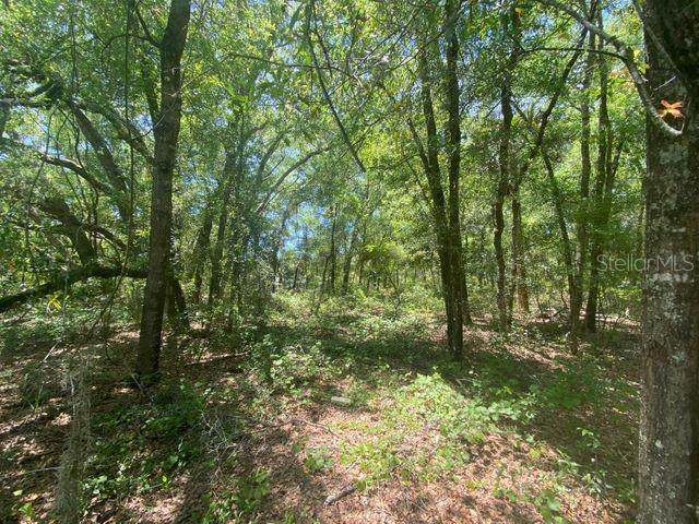 259 Putnam Loop Road - Photo 1