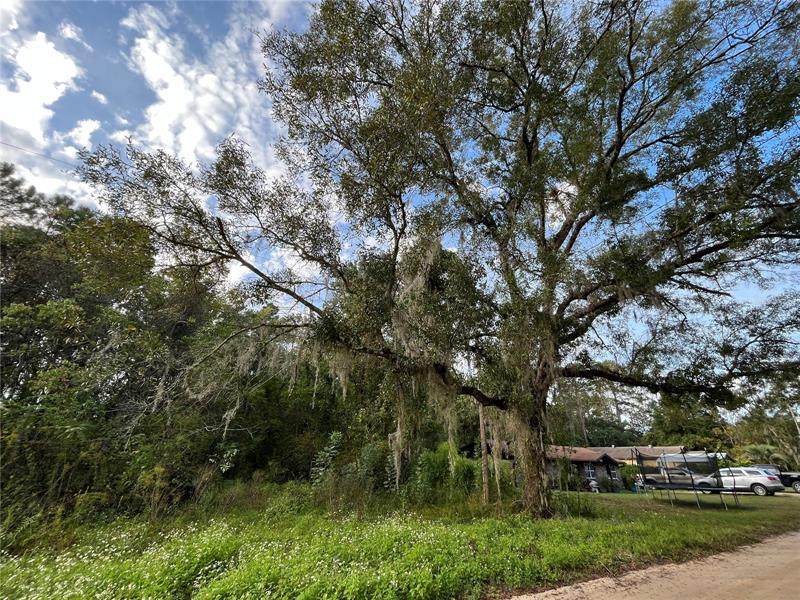 Stauffer Road - Photo 1