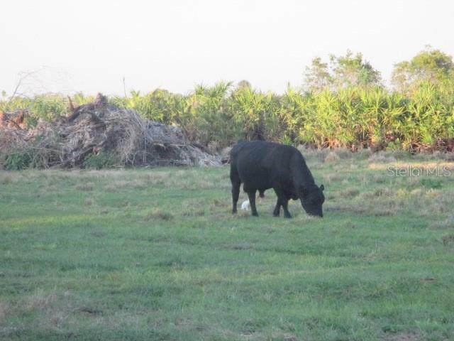 240TH Street - Photo 1