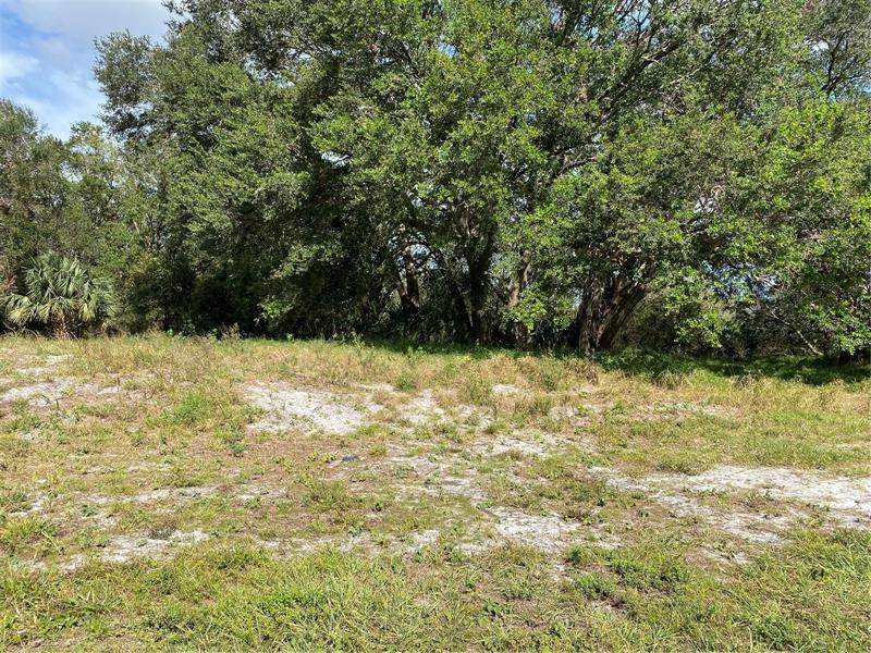 17331 248TH Street - Photo 1