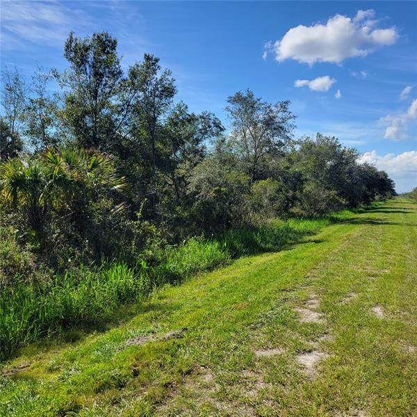 20222 296TH Street - Photo 1