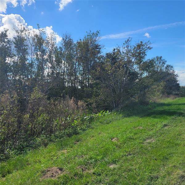18464 262ND Street - Photo 1
