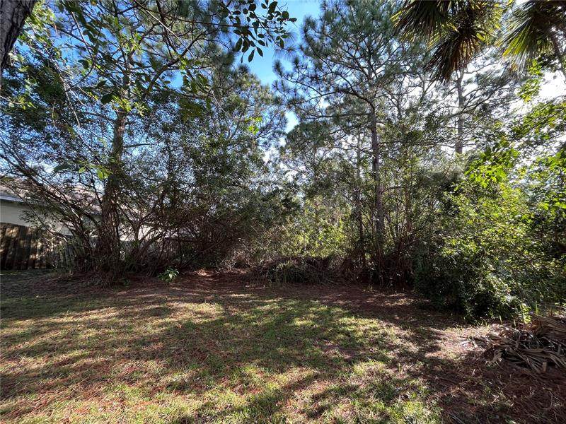 3133 Westwind Avenue - Photo 1
