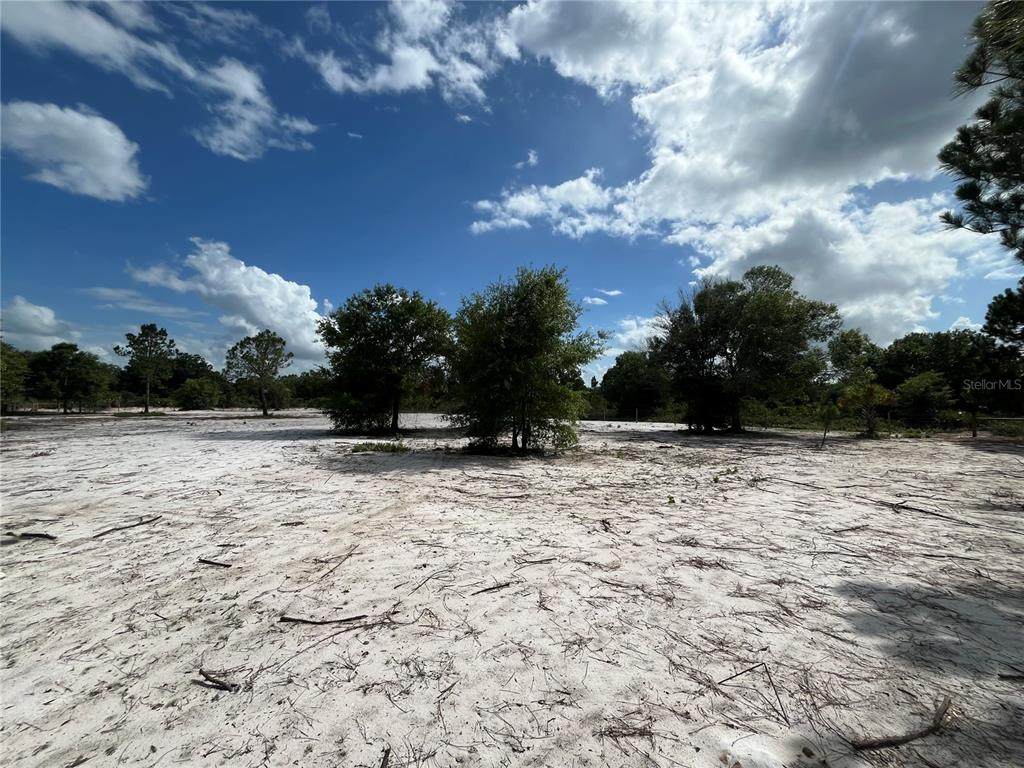 16916 262ND Street - Photo 1