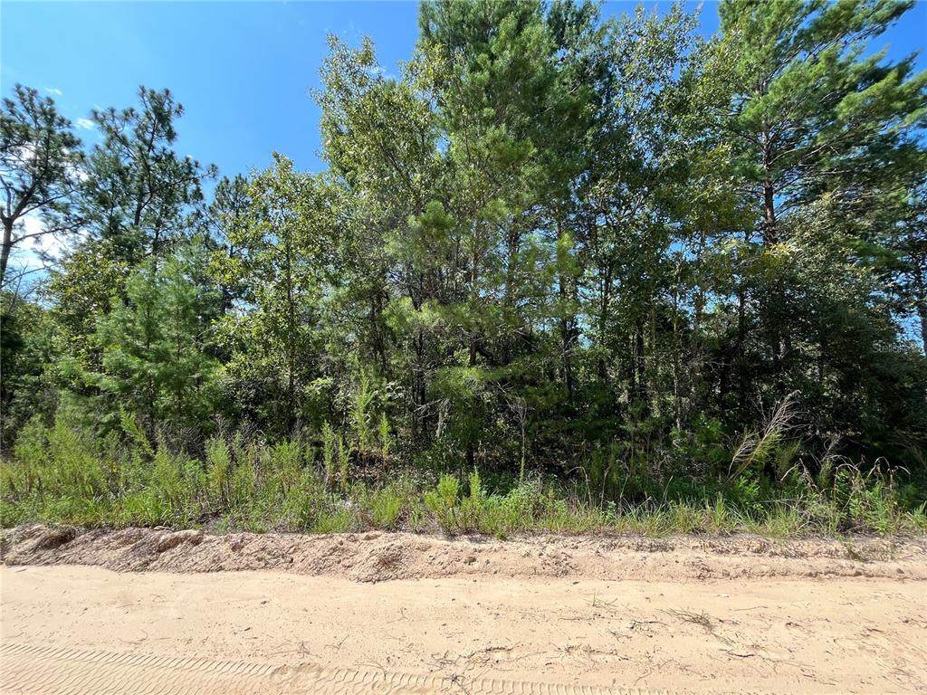 327 & 329 Shangri-La Street - Photo 1