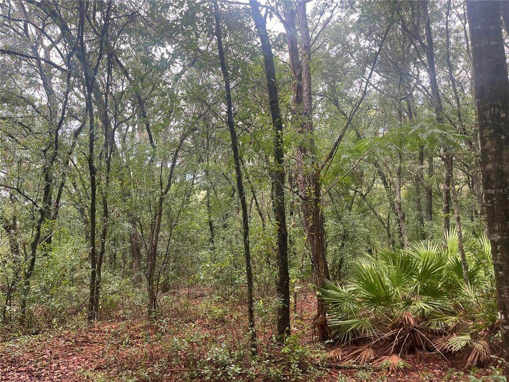 TBD Delaware Avenue - Photo 1