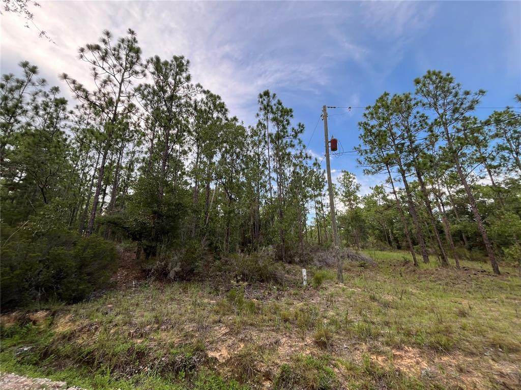 124 New York Avenue - Photo 1