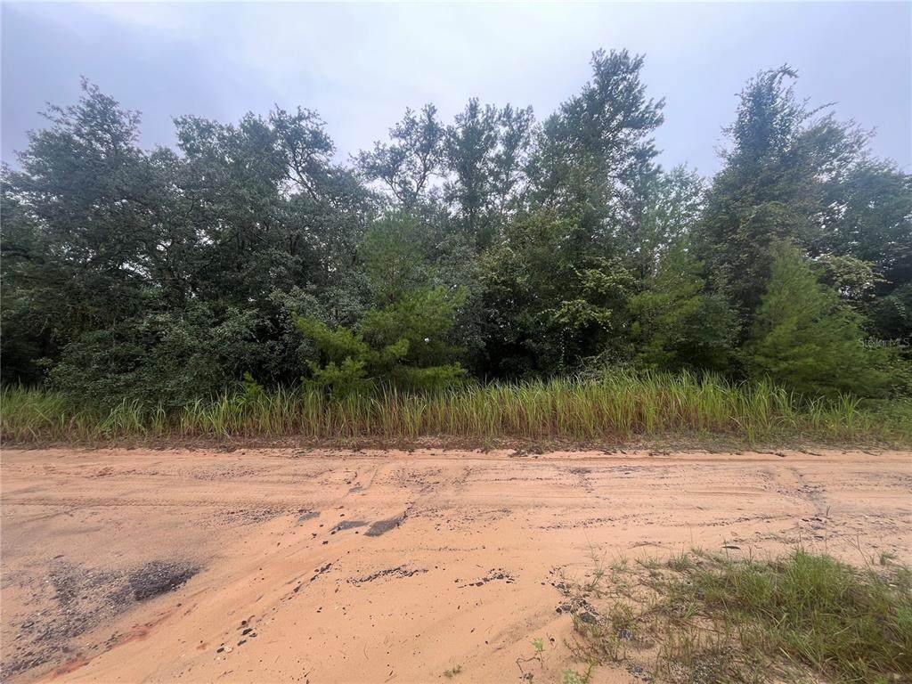 331 Carolina Street - Photo 1