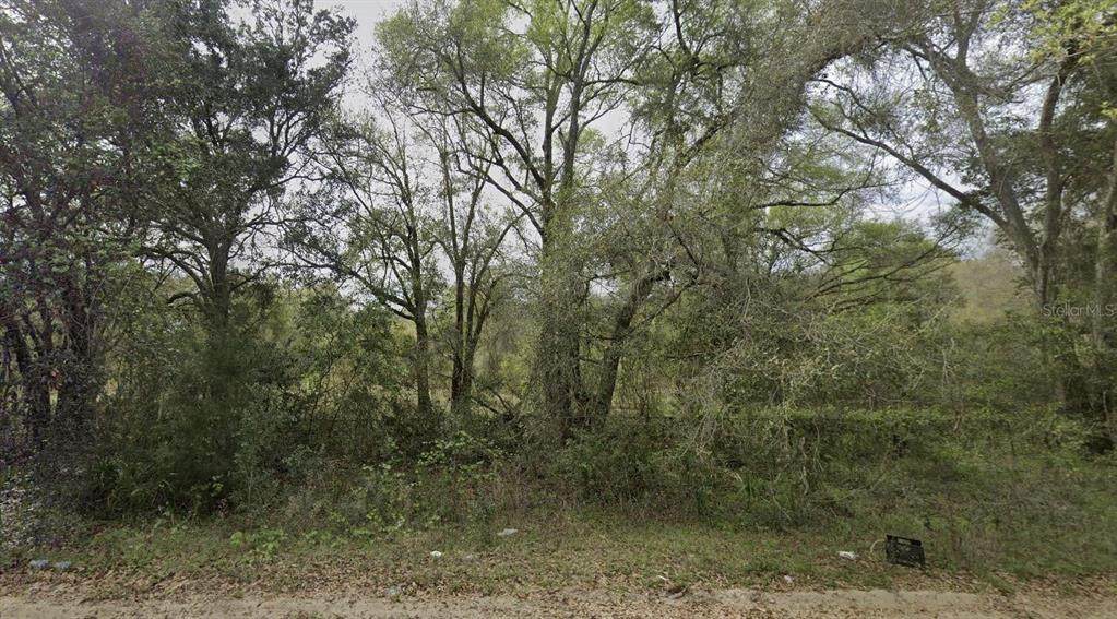 305 Milton Avenue - Photo 1