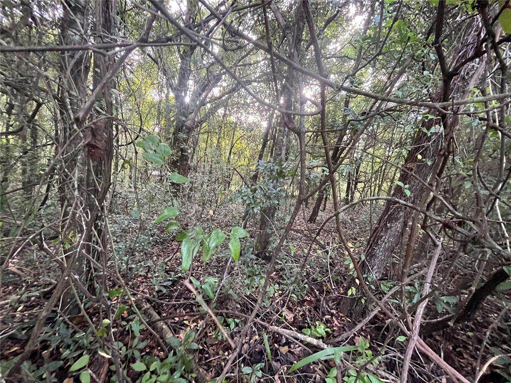 915 Annette Avenue - Photo 1