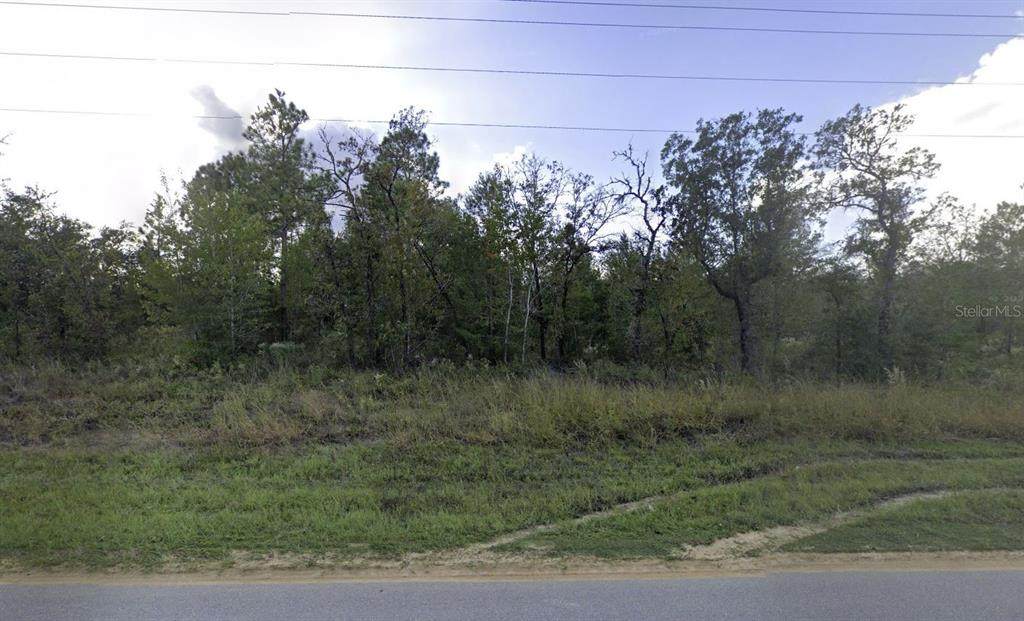 1504 Lakeview Trail - Photo 1