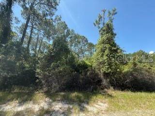 337 Palm Way - Photo 1