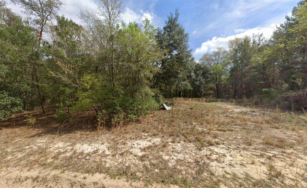 523 Gloria Avenue - Photo 1