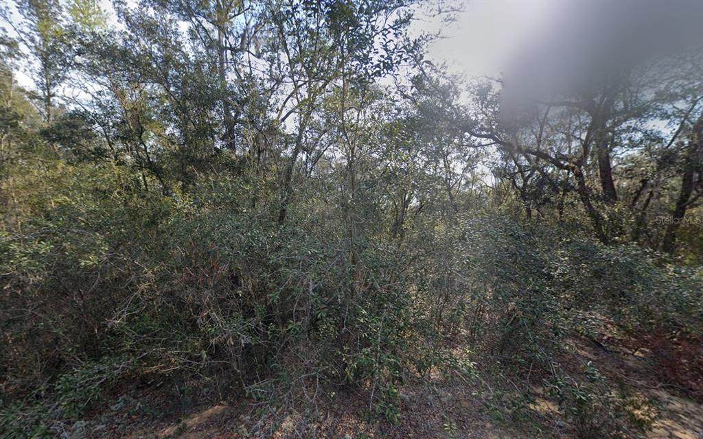 188 Kay Street - Photo 1