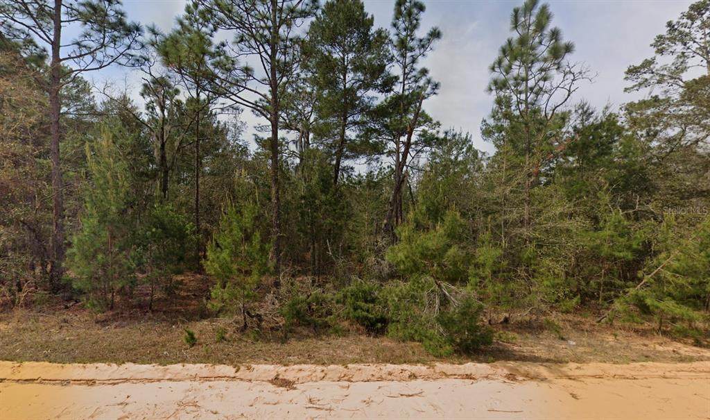 314 Neisman Avenue - Photo 1