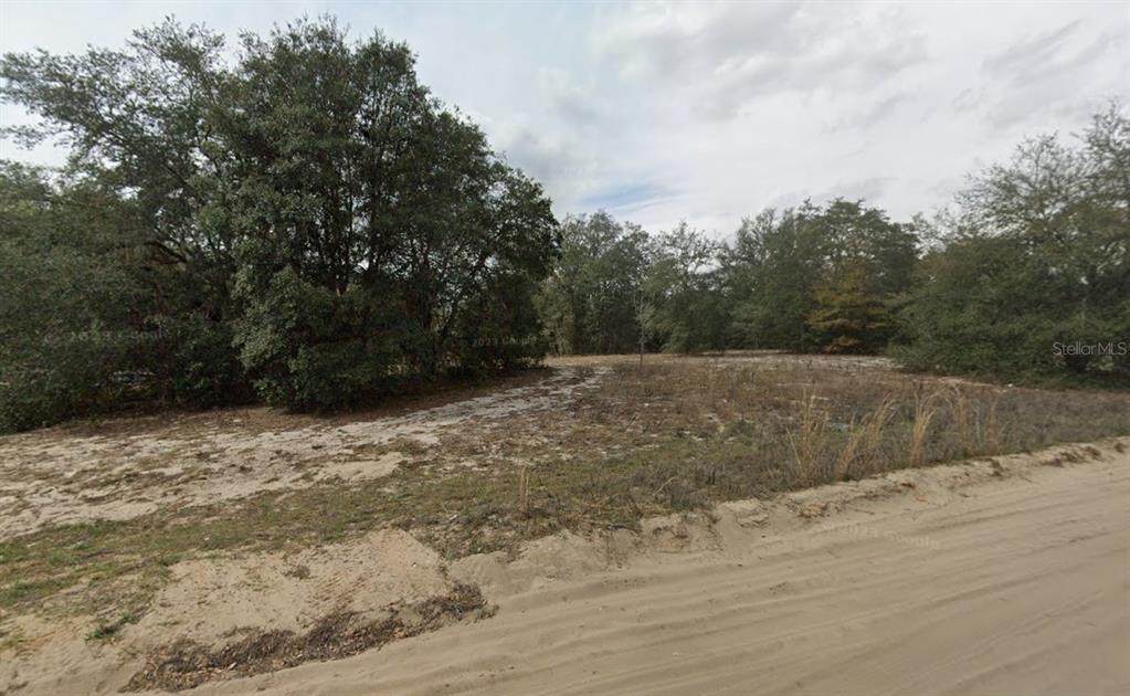 509 Lenore Avenue - Photo 1