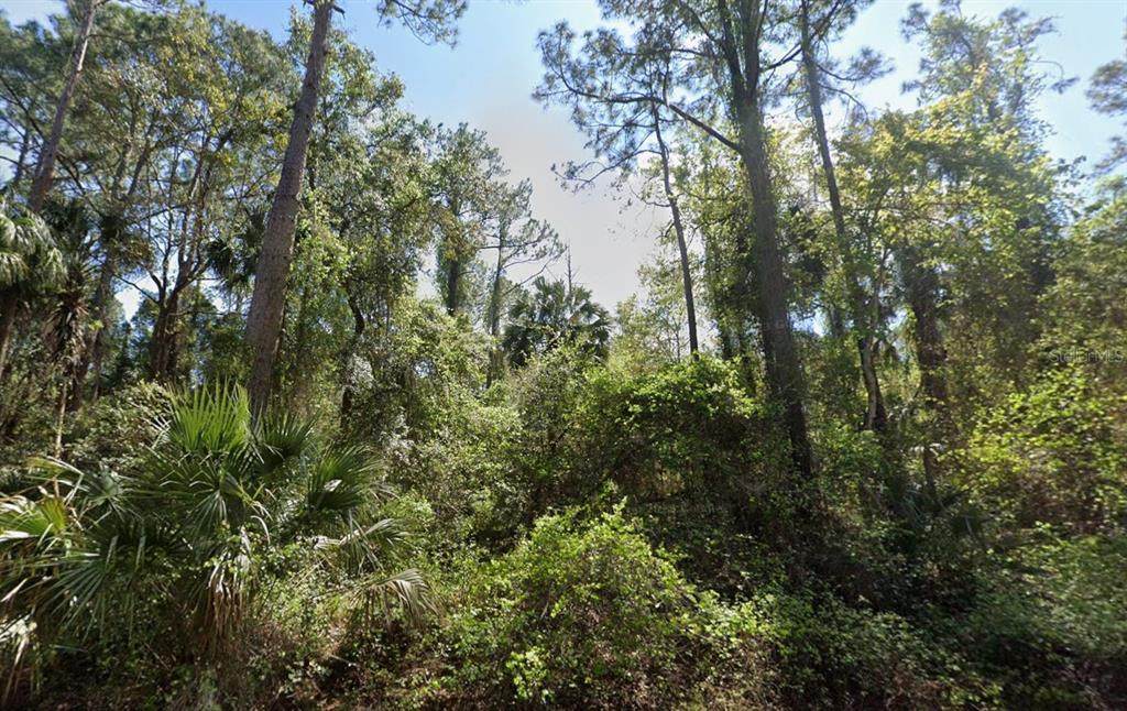 303 Siesta Drive - Photo 1