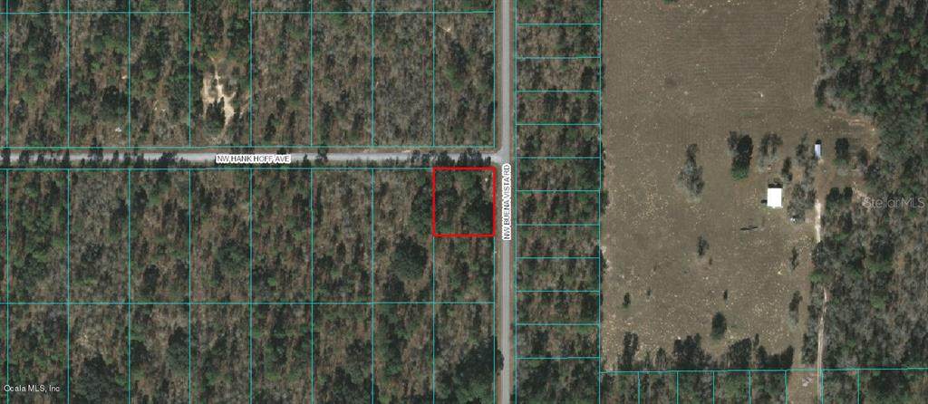00 Buena Vista Road - Photo 1