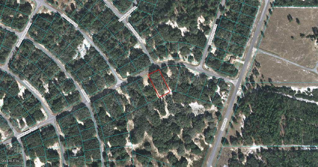 00 Fisher Way Trace - Photo 1