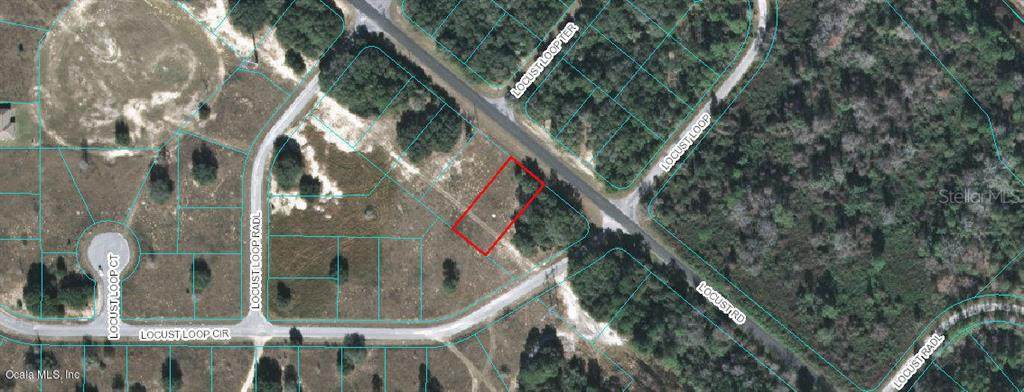 00 Locust Road - Photo 1