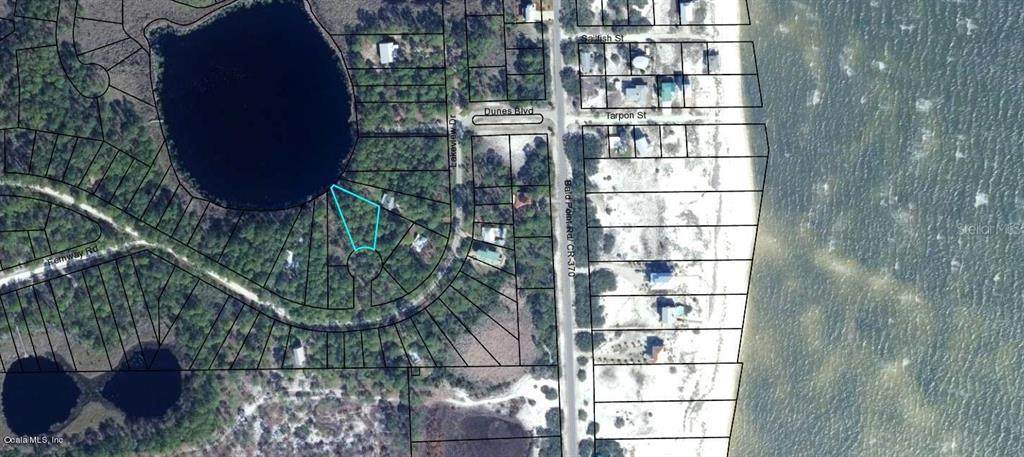 43 Mullet Pond Circle - Photo 1