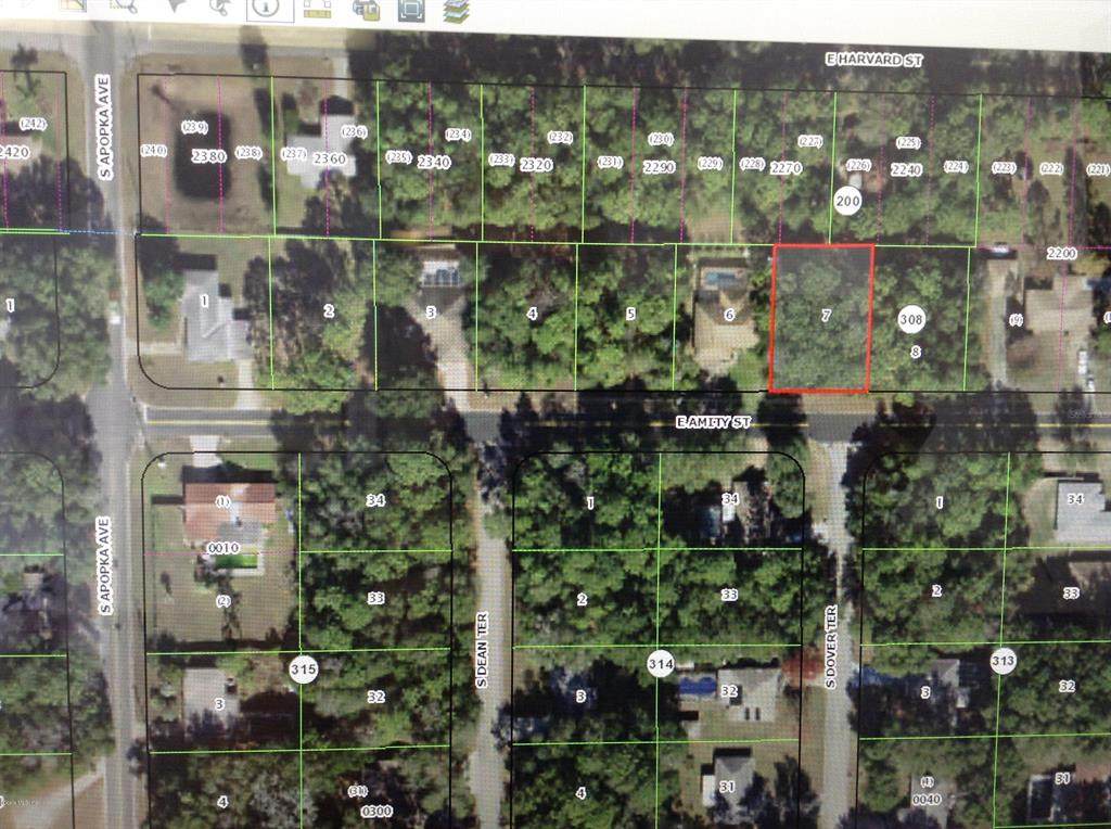 6397 Amity St. Street - Photo 1