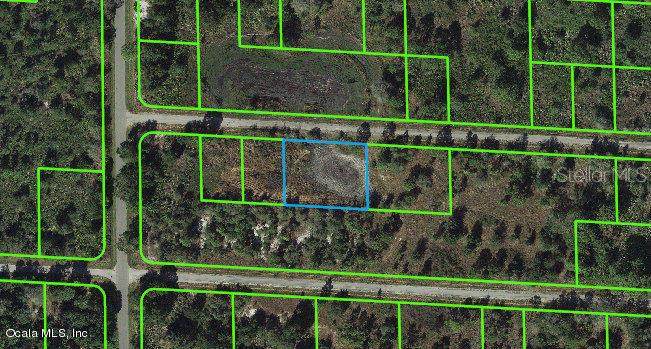 3456 Carnation Road - Photo 1