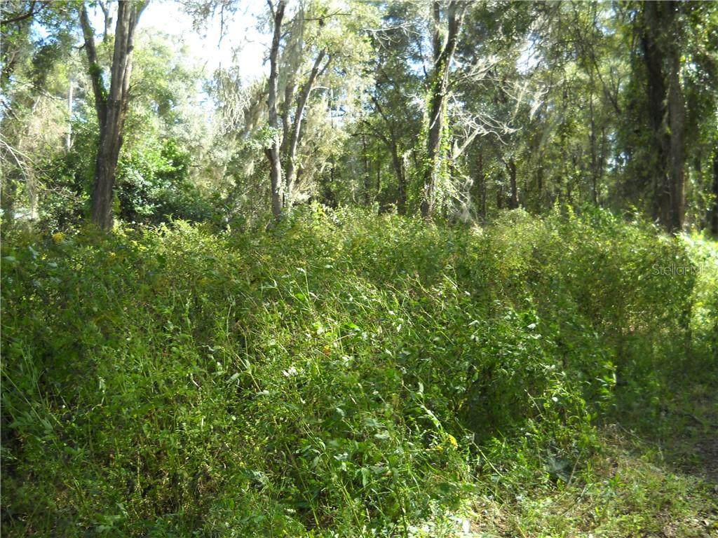 00 164 Lane - Photo 1