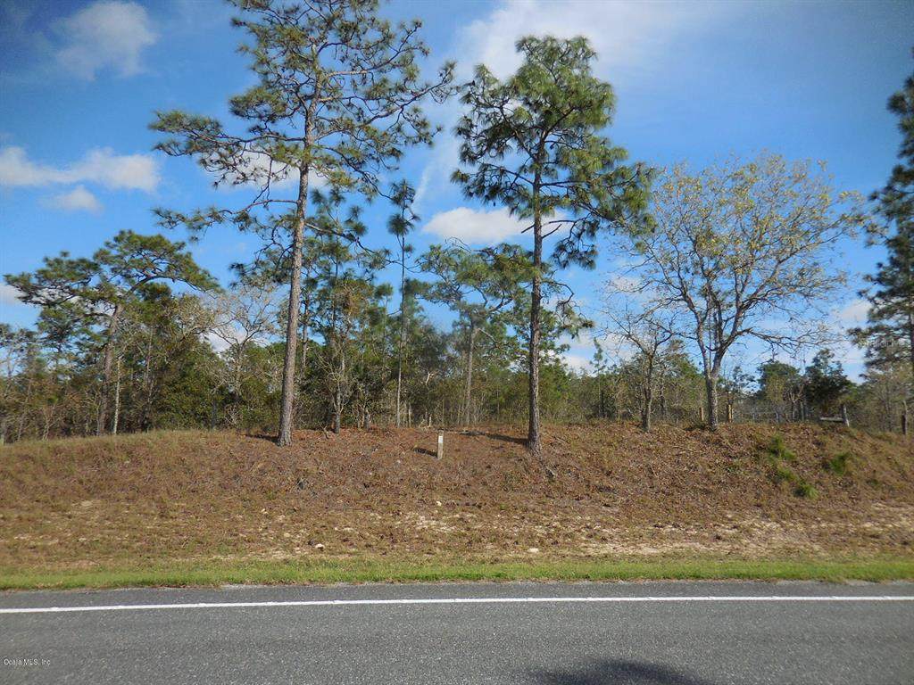 6653 State Road 121 - Photo 1