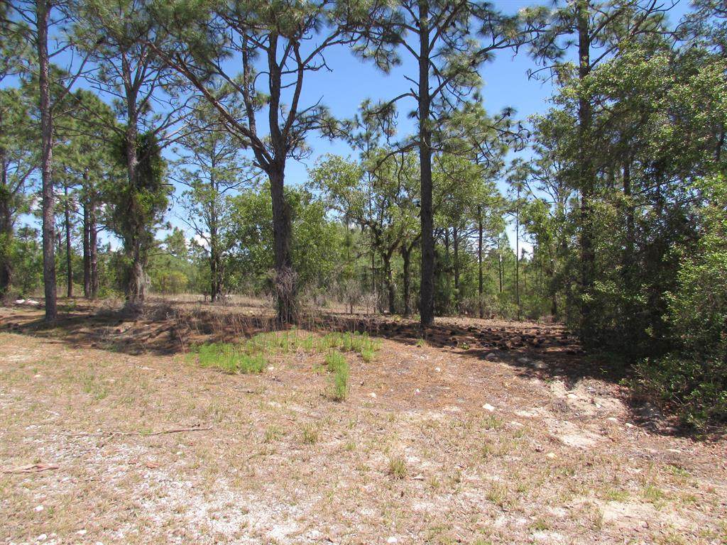 0 Hyacinth Ct. - Photo 1 0 Hyacinth Ct. - Photo 1