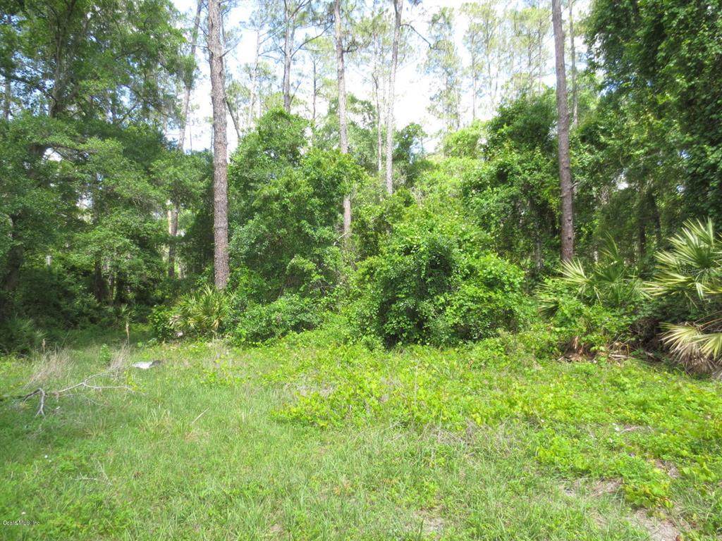 3171 147th Terrace - Photo 1