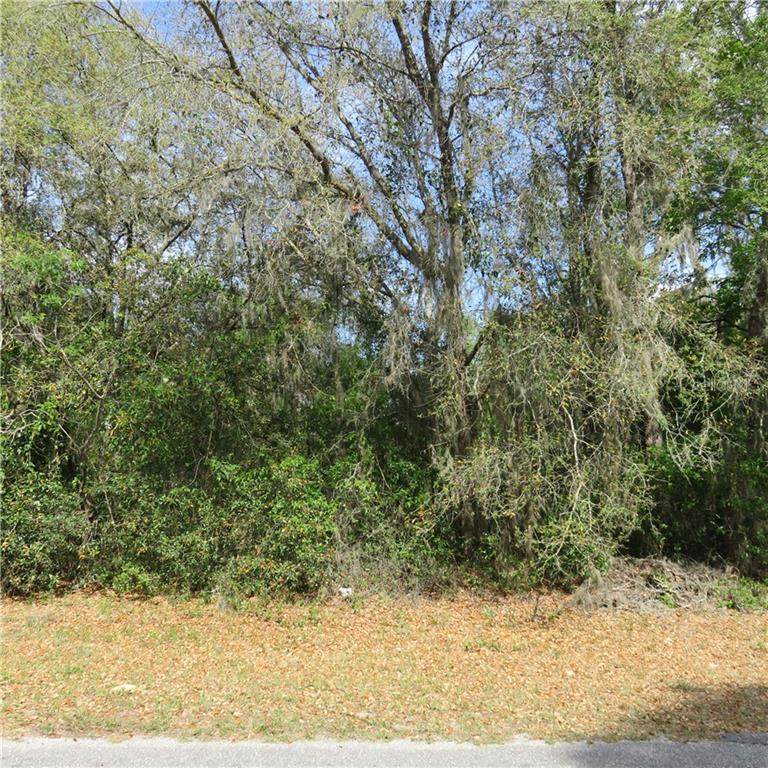 0 137 Avenue - Photo 1 0 137 Avenue - Photo 1