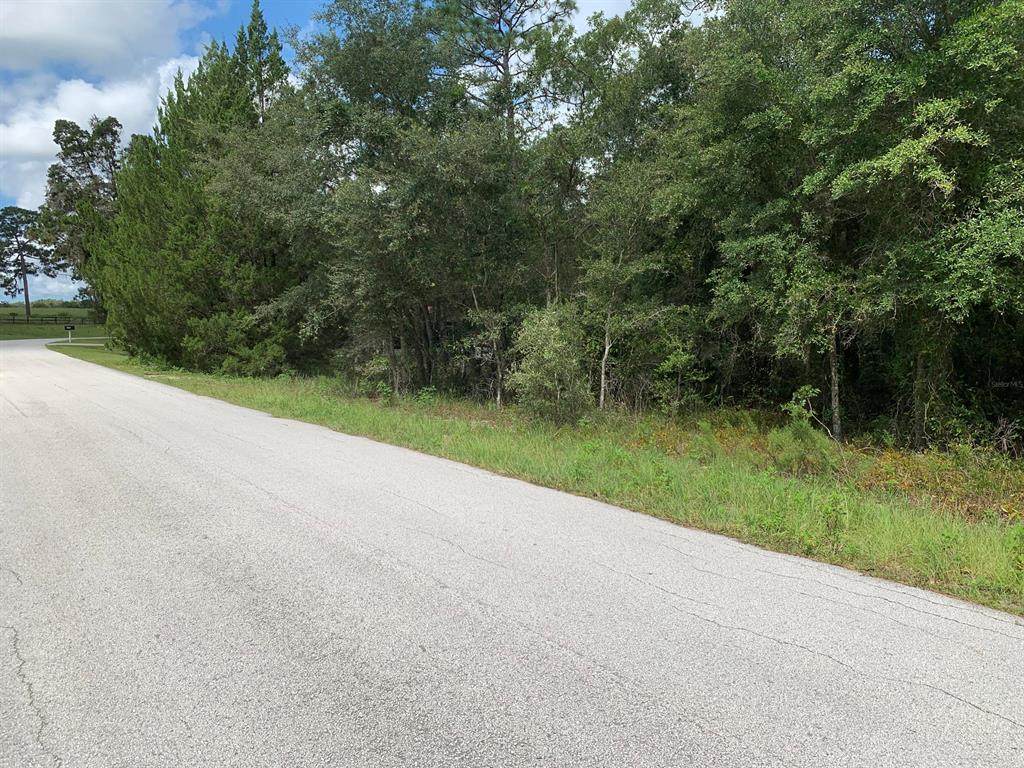 Lots 365 & Shorewood Drive - Photo 1