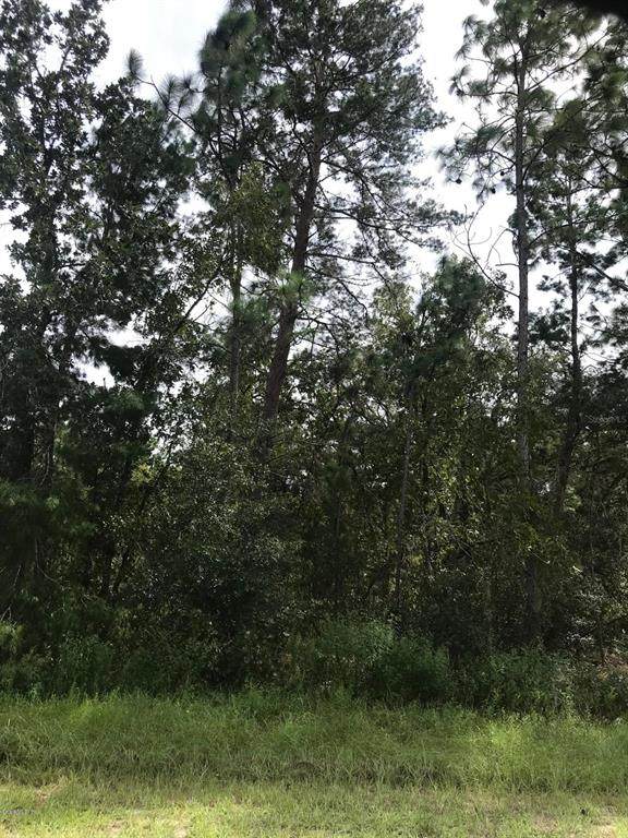 TBA 65 Cir Circle - Photo 1